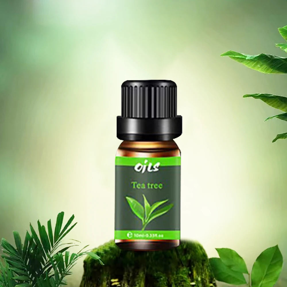 6-Piece Essential Oil Set with 6 Fragrance Options -Oils for Aromatherapy, Used For Diffuser Aroma