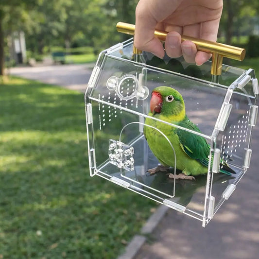 Acrylic Reptile Breeding Box with Handle Ventilated Spider Enclosure Magnetic Snap Closure Escape-Proof Hermit Crab Habitat