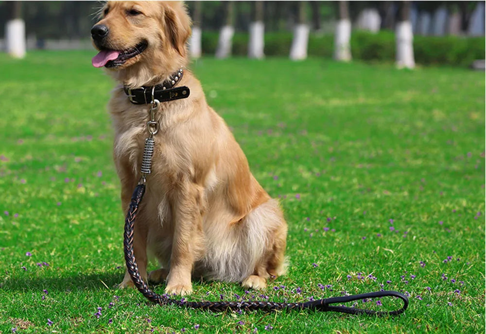 Strong Durable Real Leather Large Dog Leash with No Pull Buffer Spring Leather Braided Dog Training Leash Pet Leads Dog Chain
