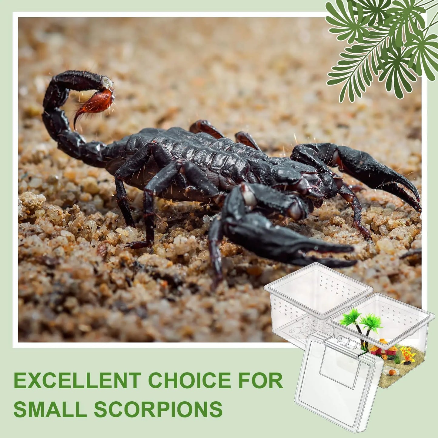 10Pcs Insect Spider Terrariums Breeding Box Hatching Container Small Reptile Scorpion Centipede Acrylic Breeding Box