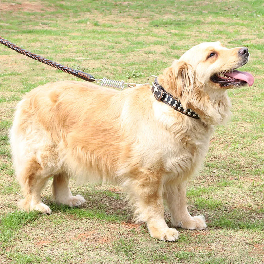 Strong Durable Real Leather Large Dog Leash with No Pull Buffer Spring Leather Braided Dog Training Leash Pet Leads Dog Chain
