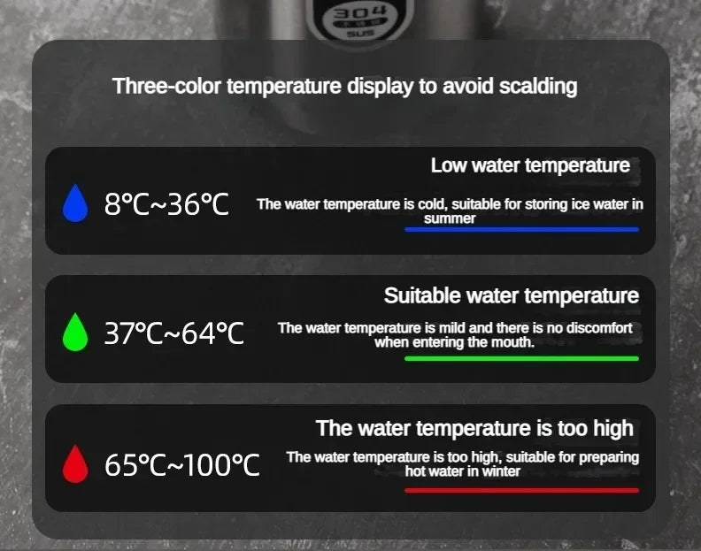 StainlessSteel Thermos Bottle with LED Temperature Display, 500-1000ML