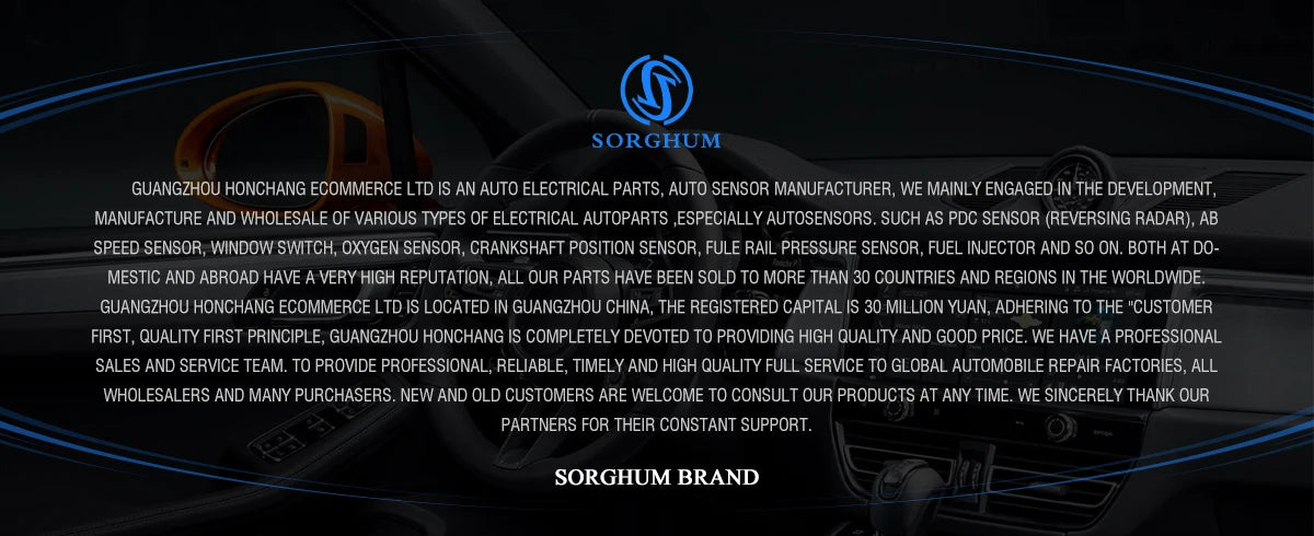 SORGHUM Car Front Left Right Power Window Lifter Switch Button For Hyundai H100 Bus Kasten 1996-2001 93691-43600 93692-43600