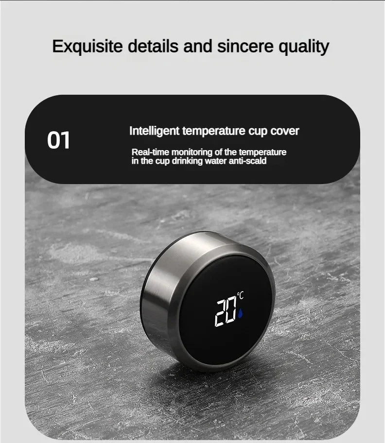 StainlessSteel Thermos Bottle with LED Temperature Display, 500-1000ML