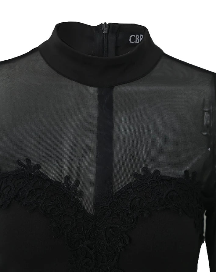 Womens Dresses Spring Sexy Sheer Mesh Floral Embroidery Mock Neck Plain Long Sleeve Bodycon Semi-Sheer Mini Night Out Dress