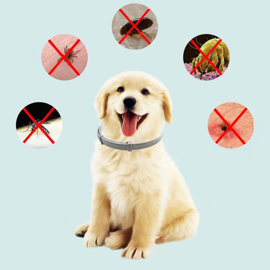 New 8 Month Dog Anti Flea And Tick Collar Dog Antiparasitic Collar Pet Accessories Cats Collars Pet Product Puppy Perro Supplies