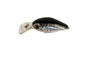BassLegend- Fishing Floating Crankbait Baby Chub Bass Pike Lure 36mm/4.5g