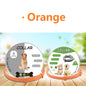 New 8 Month Dog Anti Flea And Tick Collar Dog Antiparasitic Collar Pet Accessories Cats Collars Pet Product Puppy Perro Supplies