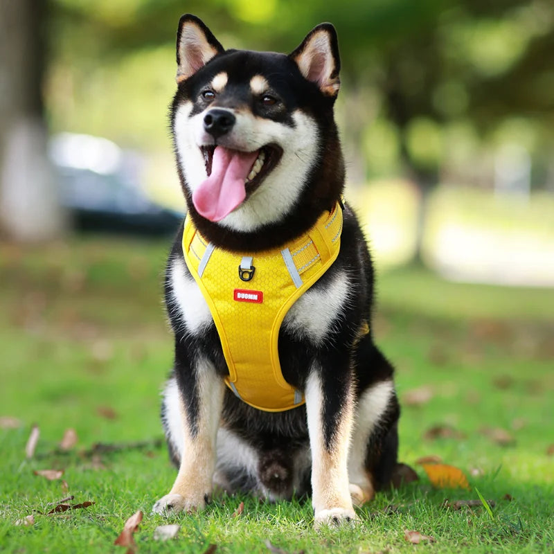 Reflective Dog Chest Strap Pet Leash Vest Type Explosion-proof Flushing Puppy Chest and Back Pet Products