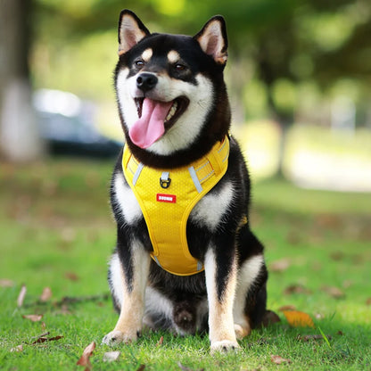 Reflective Dog Chest Strap Pet Leash Vest Type Explosion-proof Flushing Puppy Chest and Back Pet Products