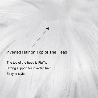 Short White Synthetic Straight Wig Anime Game Cosplay Heat Resistant Fluffy Men Wig for Daily Party
