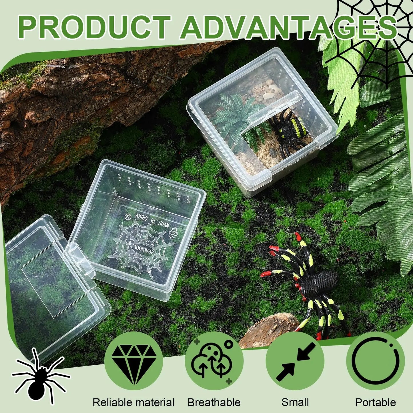 10Pcs Insect Spider Terrariums Breeding Box Hatching Container Small Reptile Scorpion Centipede Acrylic Breeding Box