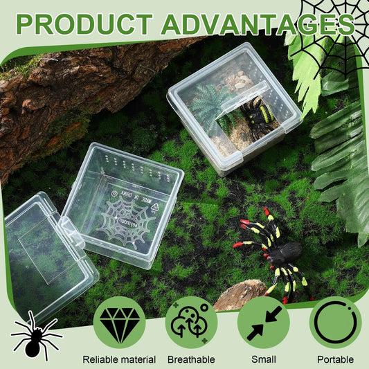 10Pcs Insect Spider Terrariums Breeding Box Hatching Container Small Reptile Scorpion Centipede Acrylic Breeding Box