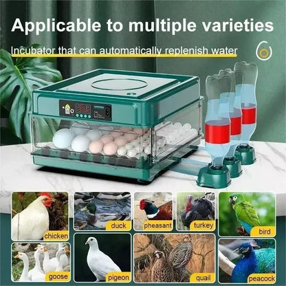 9 Eggs Automatic Incubator with Drawer Type Egg Hatcher Machine with Automatic Hydrating Egg Flipping and Temperature Contro