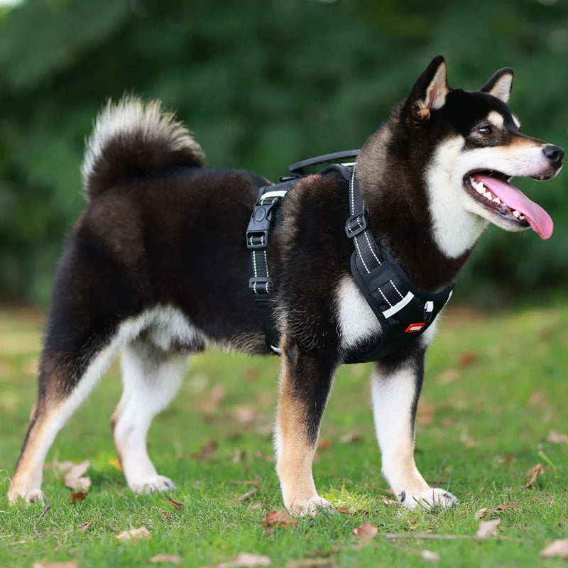 Reflective Dog Chest Strap Pet Leash Vest Type Explosion-proof Flushing Puppy Chest and Back Pet Products