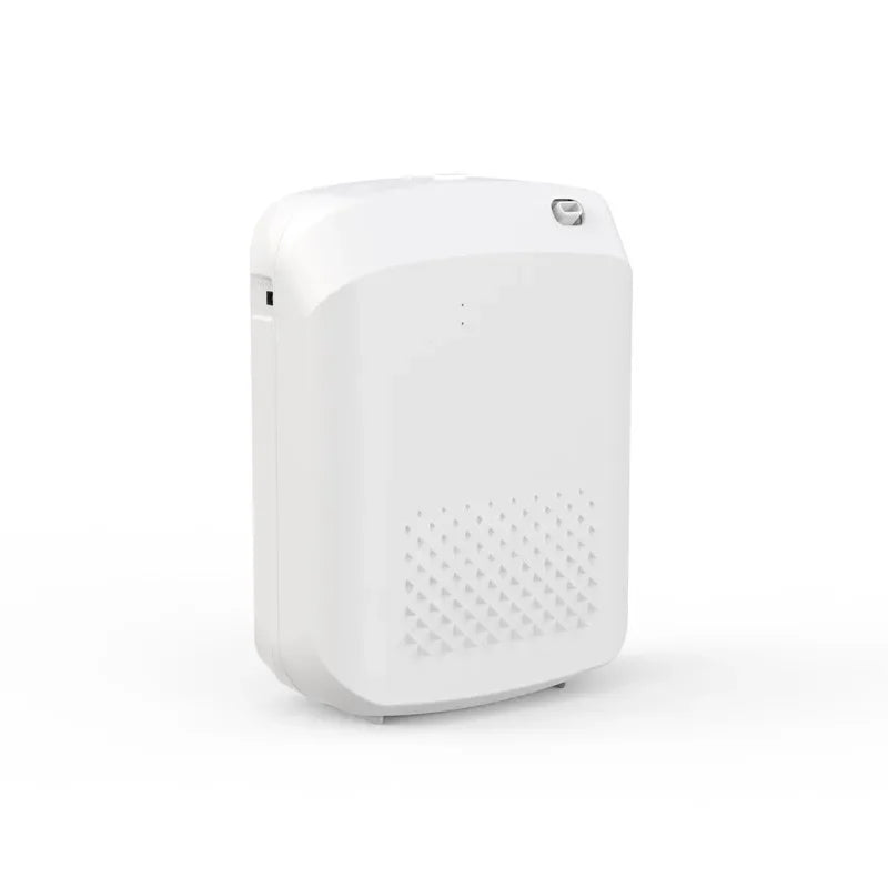 NAMSTE Smart Aroma Diffuser Hotels professional Fragrance Diffuser 1000m³ Large Room Aroma Machine With Fan Bluetooth ControlGoWisse.com