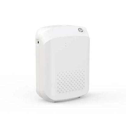NAMSTE Smart Aroma Diffuser Hotels professional Fragrance Diffuser 1000m³ Large Room Aroma Machine With Fan Bluetooth ControlGoWisse.com