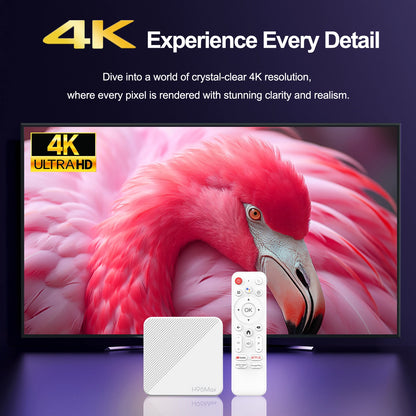 Newest H96 MAX H313 Smart TV Box Android 14 2GB 8GB 16GB Wifi6 BT 4K HD Google Voice Media Player AV1 Set Top BoxStreaming & Home Media PlayersGoWisse.com