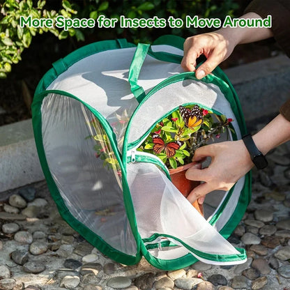 S - M - L Butterfly Habitat Outdoor Mesh Plant Enclosure Folding Insect Cage Insect Proof Net Monarch Insect Terrarium Pop-up
