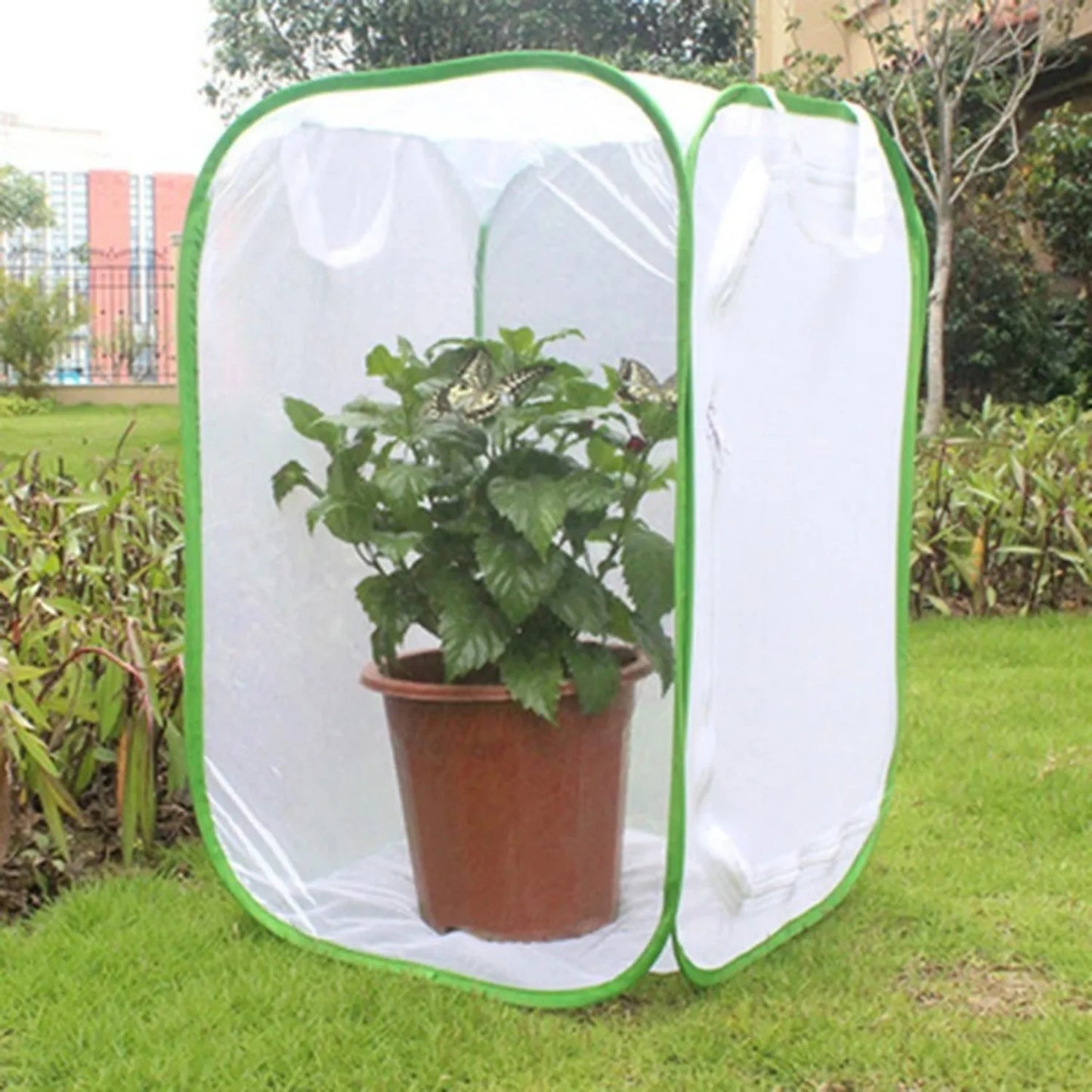 1pc Collapsible Insect Cage, Mesh Habitat Cage for Birds Butterflies Mantis Stick Insects Breeding Container