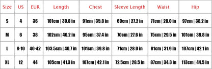 Women's Dress Elegant Tie Neck Mesh Patch Long Sleeve Midi Dress Frill Hem Shirred Fashion Work Dress