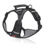 Reflective Dog Chest Strap Pet Leash Vest Type Explosion-proof Flushing Puppy Chest and Back Pet Products
