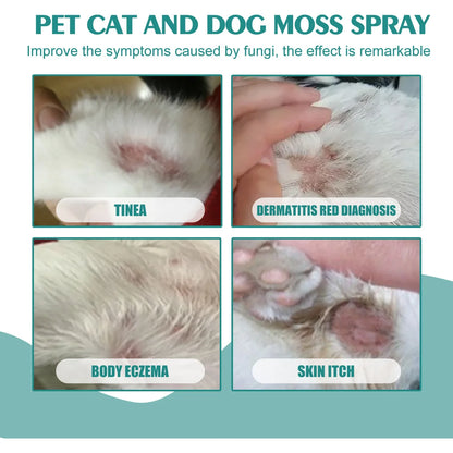 Pet Skin Care Spray Dermatitis Allergy Antibacterial Flea Tick Killer Puppy Mite Removal Relieve Itching Cat Ringworm Treatment