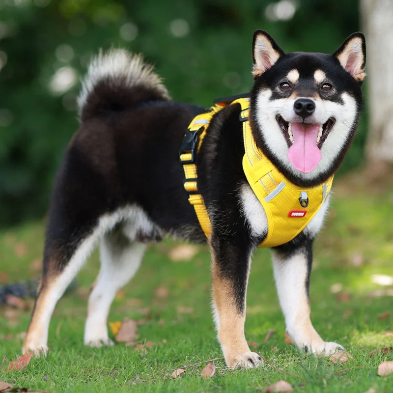 Reflective Dog Chest Strap Pet Leash Vest Type Explosion-proof Flushing Puppy Chest and Back Pet Products