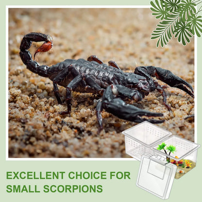 10Pcs Insect Spider Terrariums Breeding Box Hatching Container Small Reptile Scorpion Centipede Acrylic Breeding Box