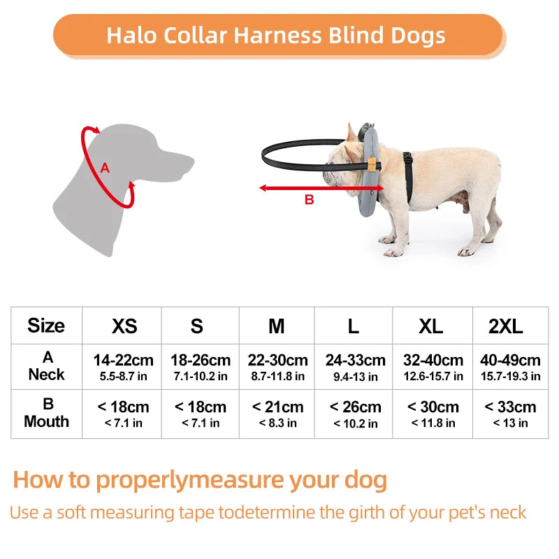 Blind Dog Collar Pet Safety Harness Adjustable Reflective Guiding Device Collar Anti Collision for Blind Dog and Cats Protection