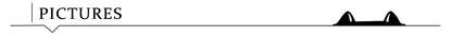 Fish Venting Tool Stainless Steel Needle Aluminum Alloy Reducing Air Pressure Tool Detachable for Deep Sea Fishing