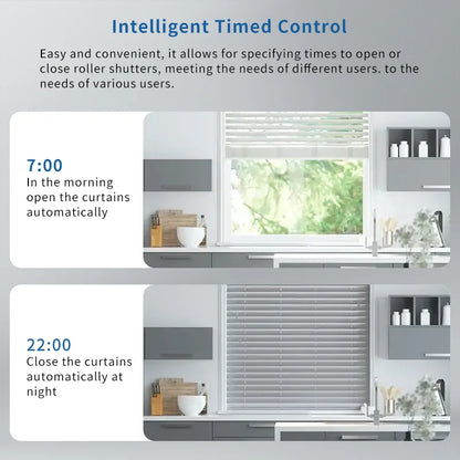 WiFi Electric Blind Roller Motor Silent Motor with Remote APP Voice Control With Alexa Google Home Automation Window Treatments