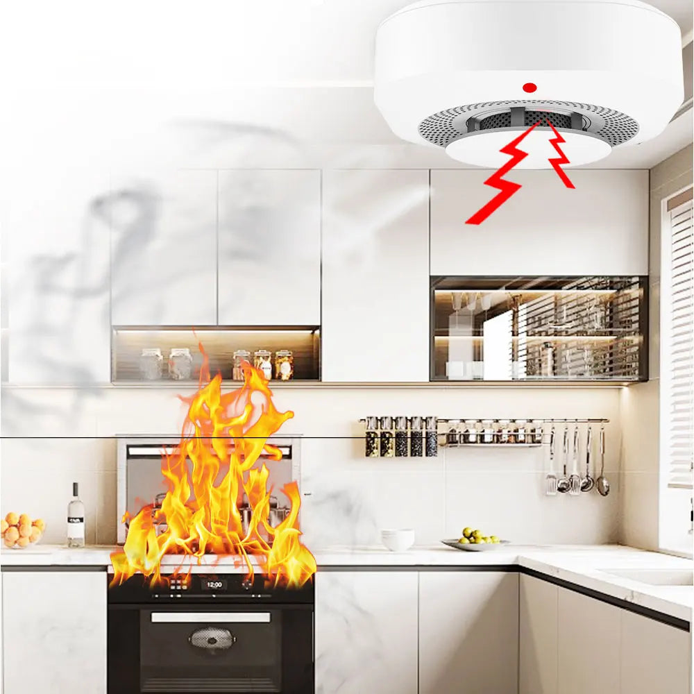 PGST Tuya Smart Wifi Smoke Sensor Smoke Detector Sensor Home Security For Security System Via Smart Life APPSmoke DetectorsGoWisse.com