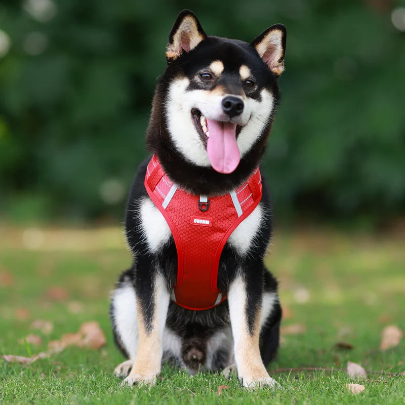 Reflective Dog Chest Strap Pet Leash Vest Type Explosion-proof Flushing Puppy Chest and Back Pet Products