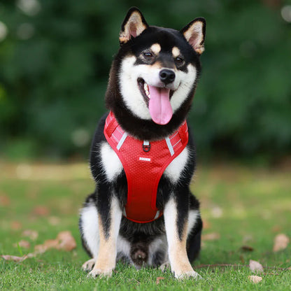 Reflective Dog Chest Strap Pet Leash Vest Type Explosion-proof Flushing Puppy Chest and Back Pet Products