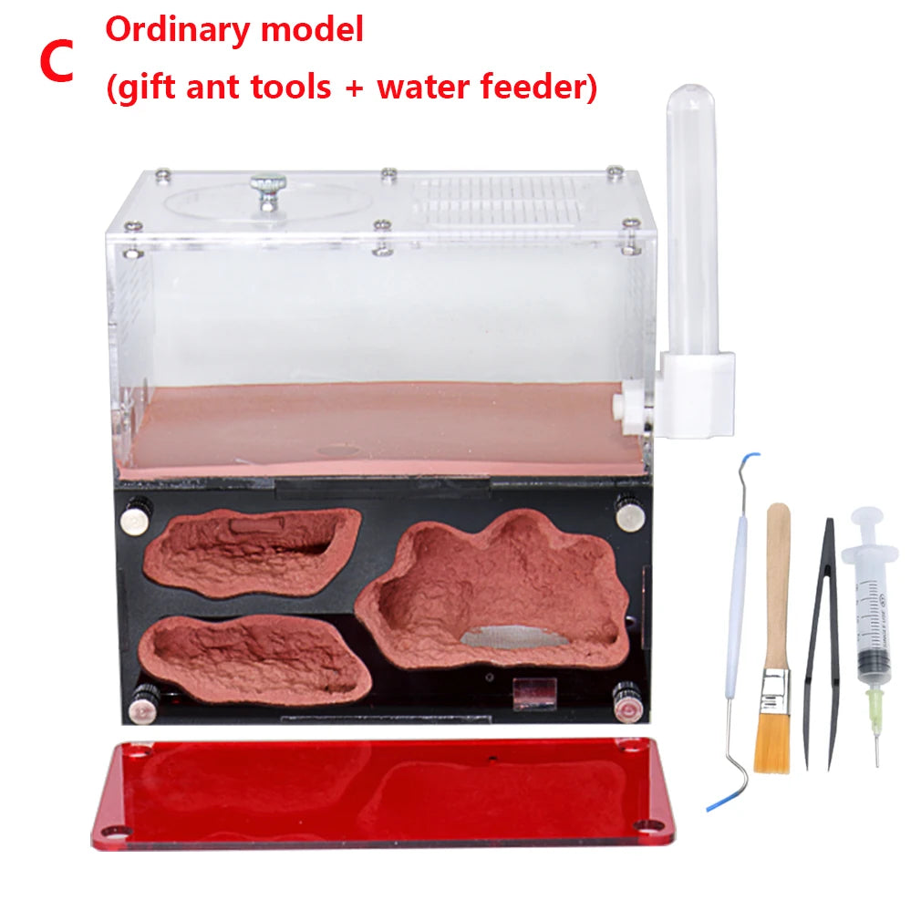 Acrylic Ant Farm Temperature Control Concrete Ant Nest Infinite Expansion Insect House Colony Drinker Anthill Kit Accessories