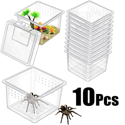 10Pcs Insect Spider Terrariums Breeding Box Hatching Container Small Reptile Scorpion Centipede Acrylic Breeding Box