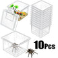 10Pcs Insect Spider Terrariums Breeding Box Hatching Container Small Reptile Scorpion Centipede Acrylic Breeding Box