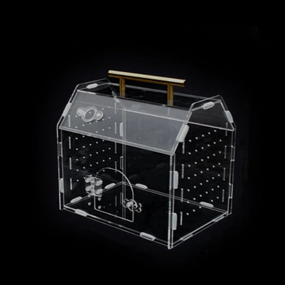 Acrylic Reptile Breeding Box with Handle Ventilated Spider Enclosure Magnetic Snap Closure Escape-Proof Hermit Crab Habitat
