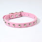 Rivets Anti-Bite Leather Dog Cat Collars Pu For Small Medium Large Dogs Pet Collar Pet Products Kitten Puppy Neck Strap