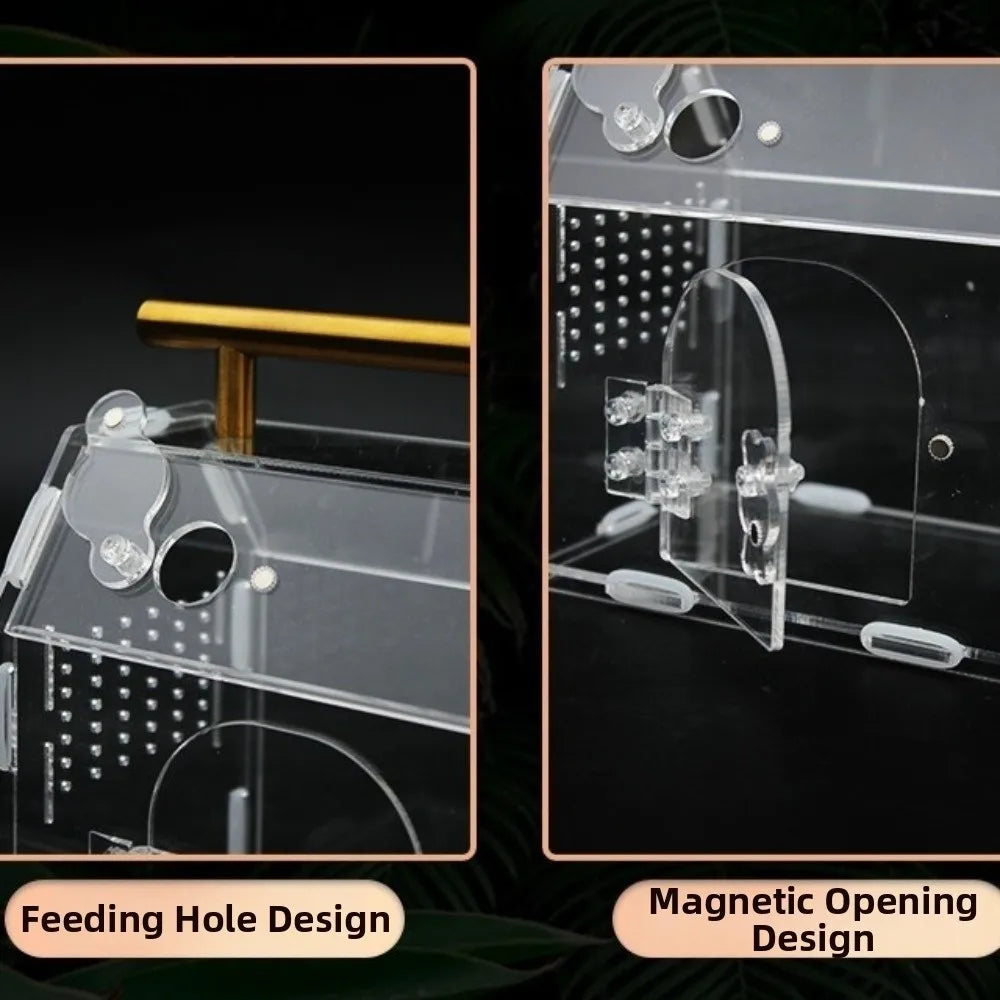 Acrylic Reptile Breeding Box with Handle Ventilated Spider Enclosure Magnetic Snap Closure Escape-Proof Hermit Crab Habitat