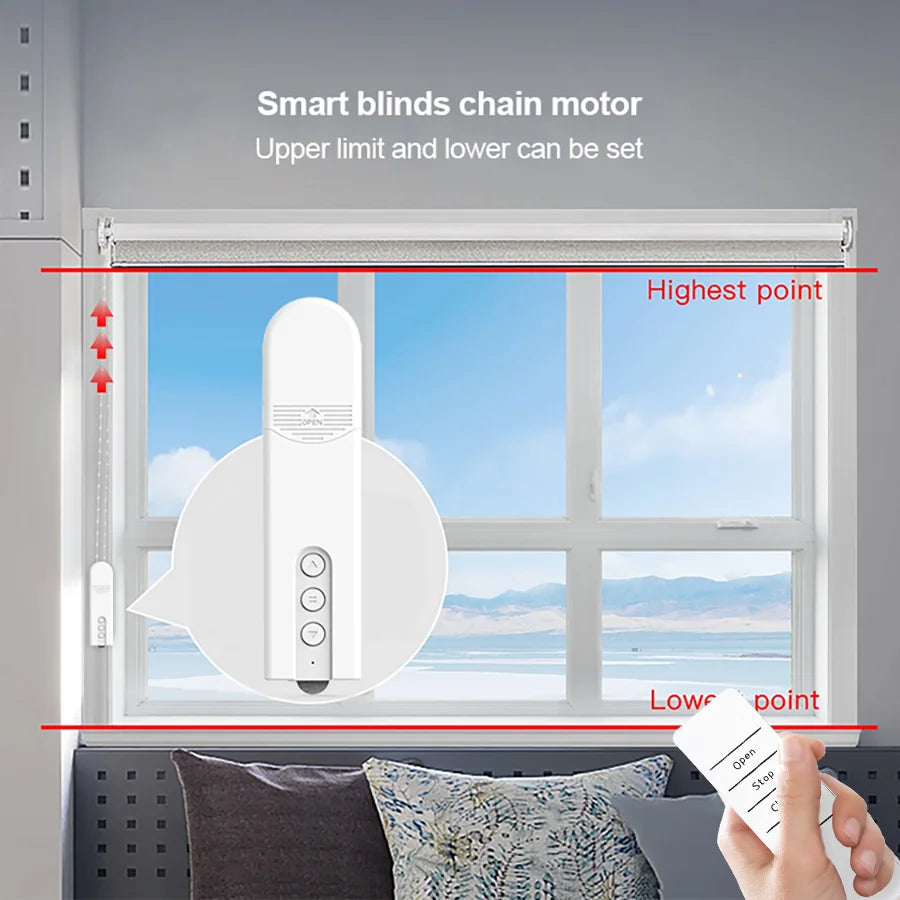 WiFi Electric Blind Roller Motor Silent Motor with Remote APP Voice Control With Alexa Google Home Automation Window Treatments