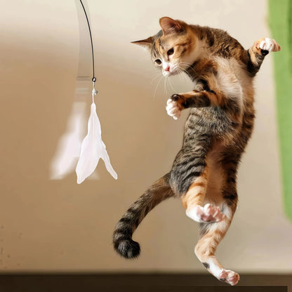 Pet Cat Toys Cute Funny Rainbow Strips Stick Cat Teaser Wand  Pet Toys for Cats Interactive Toys Cat Supplies Pet Products