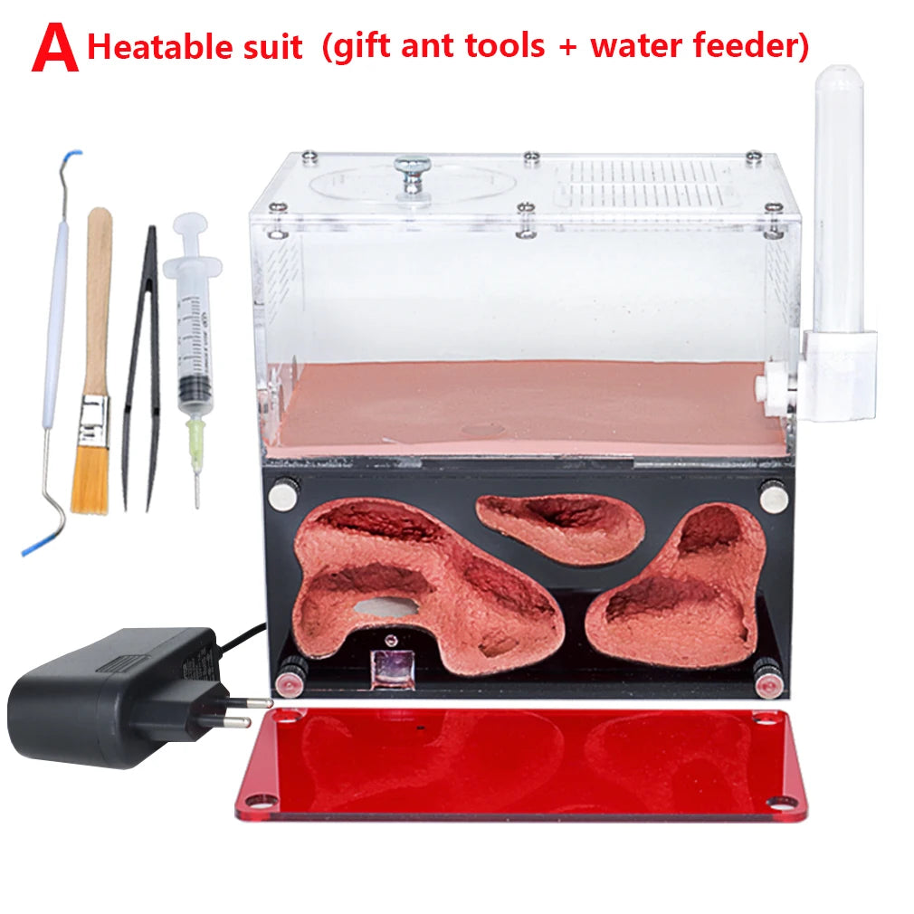 Acrylic Ant Farm Temperature Control Concrete Ant Nest Infinite Expansion Insect House Colony Drinker Anthill Kit Accessories