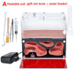 Acrylic Ant Farm Temperature Control Concrete Ant Nest Infinite Expansion Insect House Colony Drinker Anthill Kit Accessories