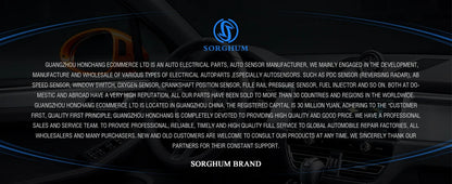 SORGHUM Car Front Left Right Power Window Lifter Switch Button For Hyundai H100 Bus Kasten 1996-2001 93691-43600 93692-43600