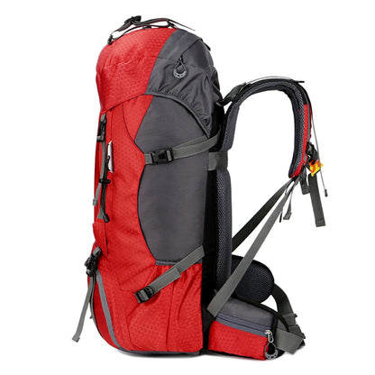 60L Camping Hiking Backpacks Men Outdoor Tourist Backpacks Nylon Sport Bag for Climbing Travelling with Rain Cover Free Knight