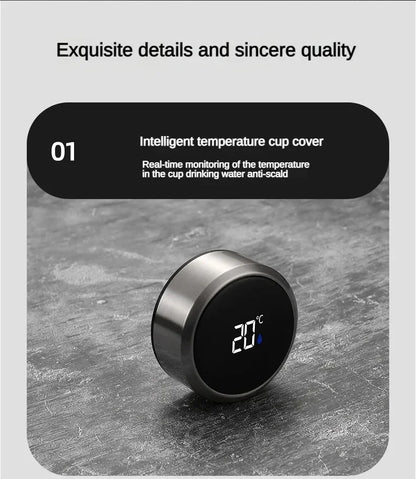 StainlessSteel Thermos Bottle with LED Temperature Display, 500-1000ML