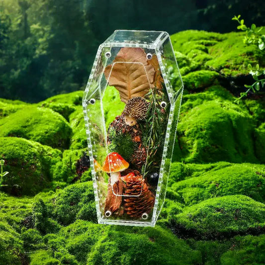 Acrylic Transparent Reptile Enclosure Insect Spider Lizard Feeding Cage Reptile Breeding Box Ventilation Arboreal Enclosure Case