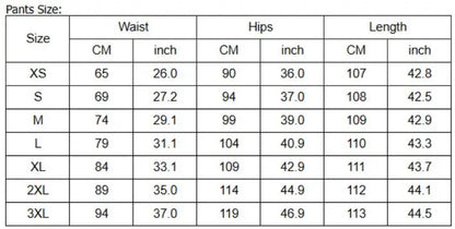 Two Piece Set Women Outfit  Spring Temperament Commuting Irregular Hem Notched Collar Blazer Top & High Waist Pants Set